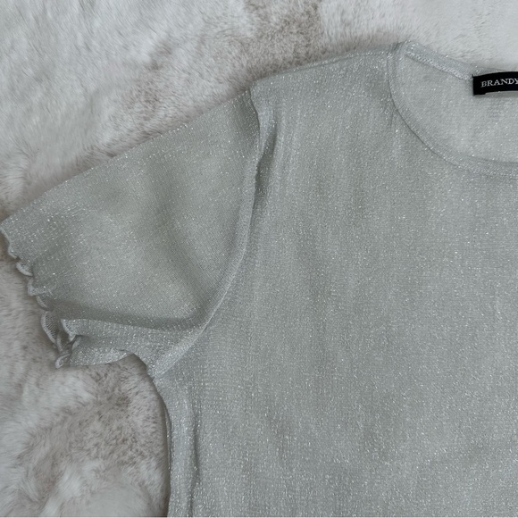 Brandy Melville Grey Sparkly Mesh Top - Picture 5 of 5